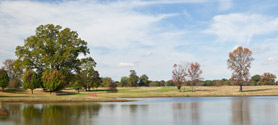 East Texas Disc Golf Course
